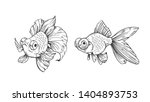 sketch of gold fish. outline... | Shutterstock .eps vector #1404893753