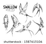 set of a flying swallows. hand... | Shutterstock .eps vector #1587615106