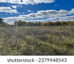 Small photo of Drake Farmstead Park - Oshtemo, Michigan - October 2023