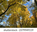 Small photo of Drake Farmstead Park - Oshtemo, Michigan - October 2023