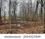 Small photo of LM Wise Preserve - Hopkins, Michigan - December 2023