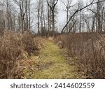 Small photo of LM Wise Preserve - Hopkins, Michigan - December 2023