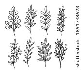 hand drawn vector set of tree... | Shutterstock .eps vector #1891748623