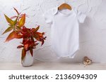 White cotton baby short sleeve onesie mockup with red fall grass in the vase and wooden bird toys. Design gender neutral bodysuit template, newborn romper print presentation mock up