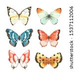 Butterfly Watercolour Clip Art...