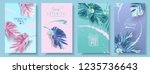 vector tropical leaf banner set ... | Shutterstock .eps vector #1235736643