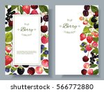 vector mix berry vertical... | Shutterstock .eps vector #566772880