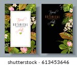 vector tropical plants vertical ... | Shutterstock .eps vector #613453646