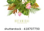 vector tropical plants banner... | Shutterstock .eps vector #618707750