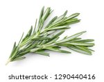 Rosemary isolated. Rosemary on white. Top view.