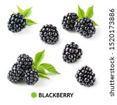 Blackberry. Blackberries...