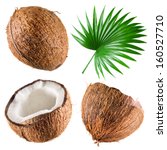 Coconuts With Palm Leaf On...