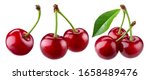 Cherry isolated. sour cherry....
