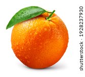 Orange fruit isolate. orange...