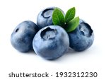 Blueberry isolated. blueberry...