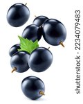 Small photo of Dark grape isolated. Black grape with leaves on white background. Grapes flying collection. Full depth of field.