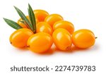 Small photo of Buckthorn isolated. Sea buckthorn with leaves on white background. Perfect retouched buckthorn berries with clipping path. Full depth of field.