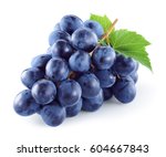 Dark blue grape with leaves isolated on white background. With clipping path. Full depth of field.