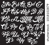 vector handwritten calligraphic ... | Shutterstock .eps vector #1018102879