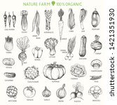 set of hand drawn vegetables ... | Shutterstock .eps vector #1421351930