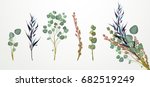 set of flowers  leaves and... | Shutterstock .eps vector #682519249
