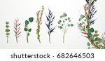 set of flowers  leaves and... | Shutterstock .eps vector #682646503