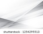 abstract geometric white and... | Shutterstock .eps vector #1254295513