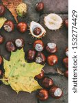 Small photo of Chestnuts. Buckeyes. Autumn mood. Leaves of a chestnut tree.