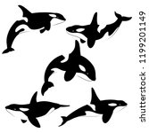 Killer Whale Set Of Silhouettes ...