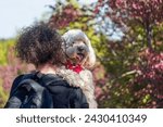 Small photo of Beautiful dog with kerchief enjoying the day