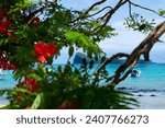 Small photo of View of Gunner's point from Cap Malheureux Mauritius Island paradise indian ocean