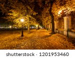 City Night Park In Autumn With...