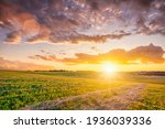 Sunset at cultivated land in the countryside on a summer evening with cloudy sky background. Landscape.