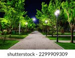 City night park in early summer or spring with pavement, lanterns, young green lawn and trees. Landscape.