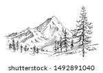 hand drawn vector landscape... | Shutterstock .eps vector #1492891040