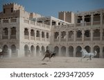 Small photo of Horse stable in Souq Waqif