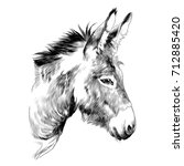 Donkey Sketch Vector Graphics A ...