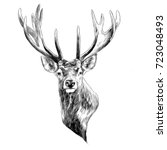 Stag Deer Head Sketch Vector...