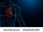 human heart anatomy form lines... | Shutterstock .eps vector #1064030180
