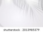 shadow of coconut leaf on white ... | Shutterstock .eps vector #2013985379