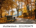 Indian summer in the park. Bench in the beautiful autumn park. 