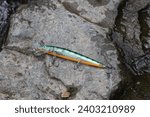 Small photo of Fishing lure - wobbler (hardbait) isolated in a creek