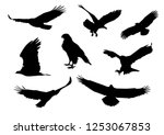 Set Of Silhouettes Of Flying...