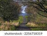 Small photo of A country lane near Murdock Castle, Scotland