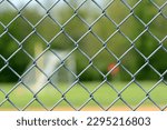 Looking through a baseball chain link fence across soccer field at netted goalie and red flag, green grass and trees, blue sky bokeh springtime conceptual, perspective photography outdoors 