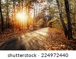 Solar Autumn Forest Path In A...