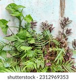 Small photo of multifarious plant background. various types of plants.