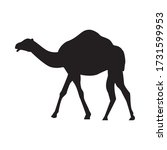 Camel Animal Silhouette...