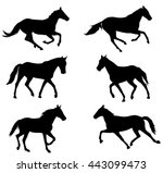 horses silhouettes collection   ... | Shutterstock .eps vector #443099473