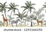 hand drawn tropical vintage... | Shutterstock .eps vector #1292166250